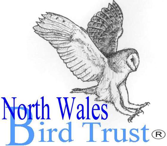 North Wales Bird Trust